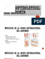 Pared Anterolateral Del Abdomen, Epiplon, Mesenterio, Retroperitoneo, Anatomia Region Inguinal