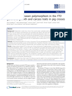 Association Between Polymorphism in The FTO Gene and Growth and Carcass Traits in Pig Crosses