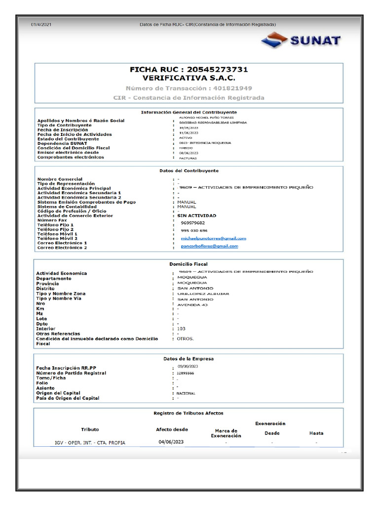 Ficha Ruc de La Empresa | PDF