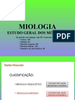Miologia: Estudo Geral Dos Músculos