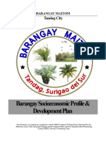 Barangay Development Plan Final