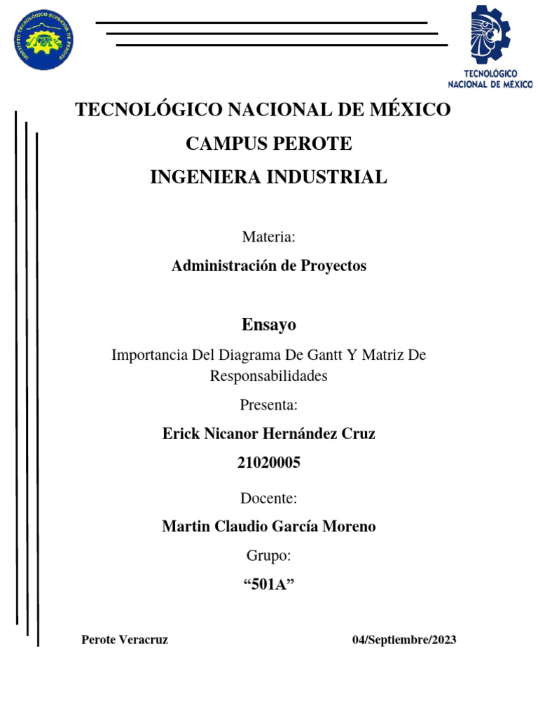 Importancia del Diagrama de Gantt y RACI | PDF | Gestión de proyectos ...