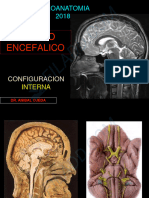 6 Tronco Encefalico 2 2018