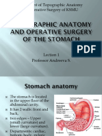 Topographic Anatomy and Operative Surgery of The Stomach