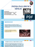 Microbiologia Treponema Pallidum Oficial Revisado