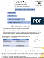 CCI4 Diplomado