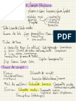 Estudio Parcial 2