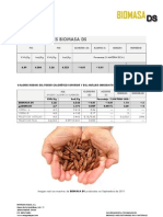 Especificaciones Biomasa DS