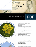 Clase 4 Flores de Bach