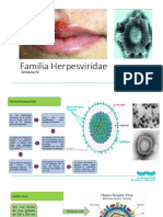 Familia Herpesviridae