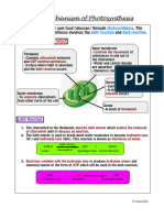 The Mechanism of Photosynthesis