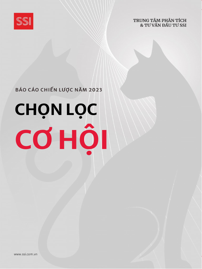 SSI InvestmentStrategyReport 2023 VIE PDF