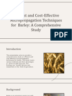 7 - Barley A Comprehensive Study