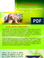 Lectio Divina Sobre Sinodalidad