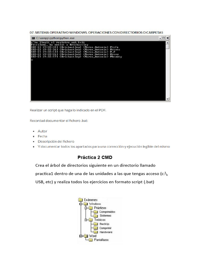 Práctica de Comandos CMD en Windows | PDF | Informática