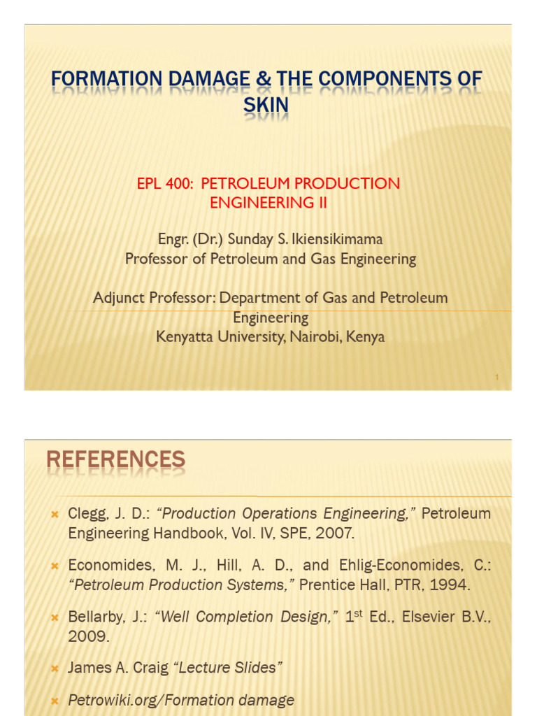 Formation Damage and The Components of Skin | PDF | Petroleum Reservoir ...