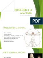 Introduccion Anatomia Copia 2