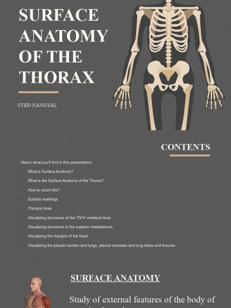 Surface Anatomy of the Thorax | PDF | Thorax | Aorta