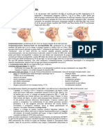 ISOIMMUNIZZAZIONE Materno-Fetale