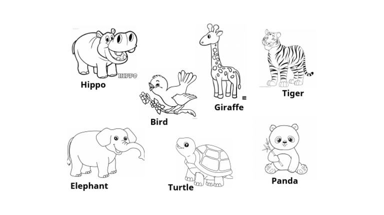 ANIMALS | PDF