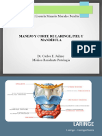 Viii. Patologia Quirurgica de Laringe, Piel y Mandibula