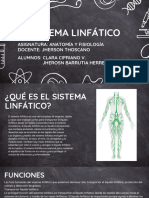 Sistema Linfatico