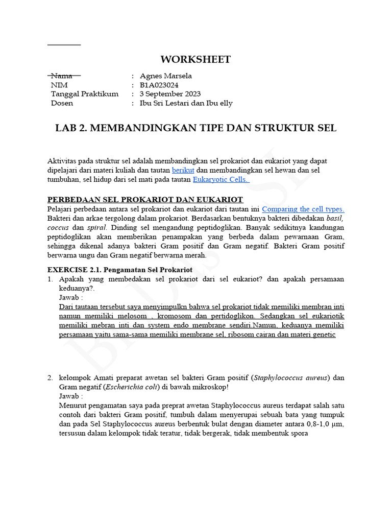 Agnes marsela worksheet lab 2 cell structure 2023 pdf