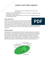 Mitochondria and Chloroplast