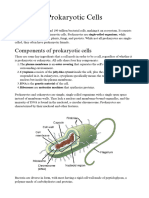 Prokaryotic Cells 