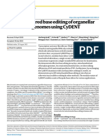 Strand-Preferred Base Editing of Organellar and Nuclear Genomes Using Cydent