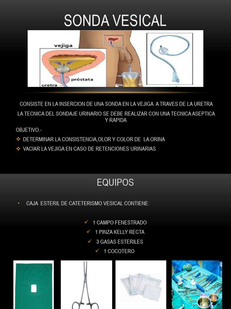 inserci-n-de-sonda-vesical-en-mujeres-pdf-anatom-a-humana