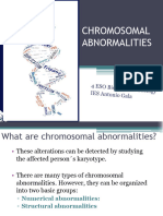 Chromosomalabnormalities 150413160537 Conversion Gate01