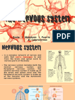 The Nervous System