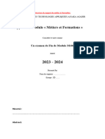 rapport_metier_et_formation