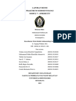 ACC - Muhammad Zuldiansyah - 26050120130081 - Oseanografi A - Lapres Modul 5 Sedimen - Muhammad Zuldiansyah - Muhammad Zuldiansyah