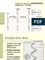 Protein Synthesis