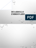 Desarrollo Embrionario