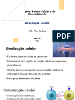 Aula 03 - Sinalização Celular e Citosol