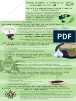 Infografía Cuidado Del Medio Ambiente Moderno Verde