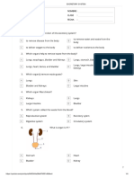 Excretory System