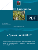 BIOFILM Bacterias y Su Medio Ambiente