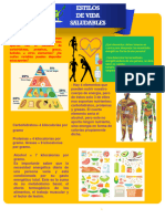 Infografía - Estilos de Vida Saludables