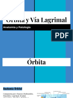 Órbita y Vía Lagrimal