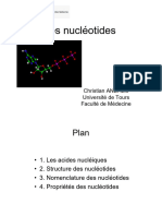 5 - Nucléotides Et Acides Nucléiques