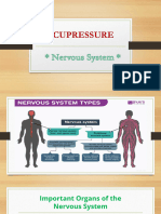 Acu Nervous System