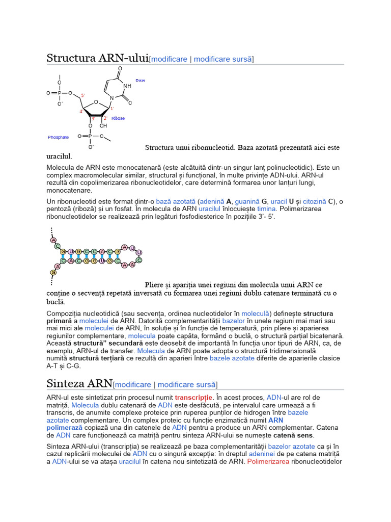 Structura ARN | PDF