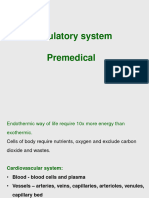 024-Premedical Circulatory System