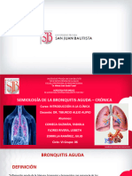 Simulacion Bronquitis