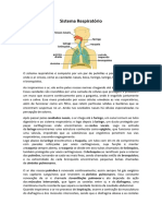 Trabalho de Educação Fisica