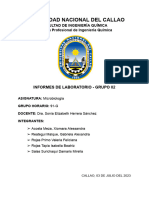 Informe Micro